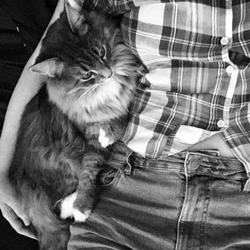Pet Care Provider Jennifer S's Profile Picture