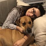 Animal Loving Grad Student Available for Pet Sitting and Boarding
