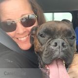 House cleaner/ Pet sitter/Walker