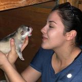 Interviewing For a Pet Sitting Professional Job in Rocklin, California