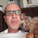 Careful Dog Walker