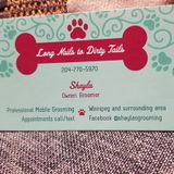 Animal groomer/sitter