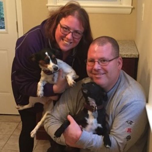 Pet Care Provider Karen M's Profile Picture