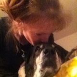 Pet sitting