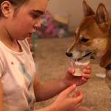 Awesome Special Needs Kiddo seeking Awesome Part Time Nanny