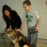 West Chester Dog Sitter Searching for Being Hired