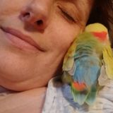 Mature and Responsible animal lover with lots of free time