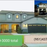 I paint houses and build wood/vinal fences