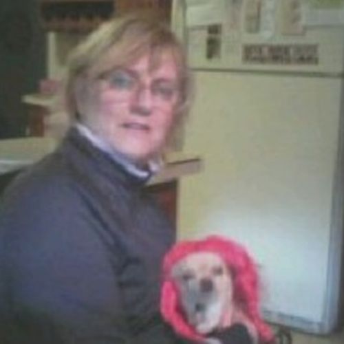 Pet Care Provider Deborah F's Profile Picture