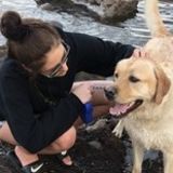 Pet Sitter