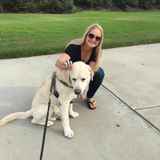 Qualified & Trustworthy Housesitter for Your Home