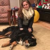 Hard Working Pet Sitter in North Hampton, New Hampshire