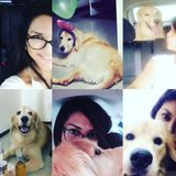 Richmond Hill Petsitter Seeking Job Opportunities