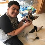 Kingston Petsitter Seeking Being Hired