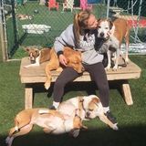 Graduate of Veterinary Medicine - Were the Top Dog