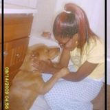 For Hire: Reliable Petsitter in Los Angeles