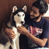 Available: Passionate Pet Trainer in London