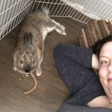 Seeking Port Perry Pet Trainer, Ontario Jobs