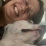 Available: Loving Care Pet & House Sitting
