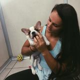 Brighton Dog Walker Seeking Job Opportunities