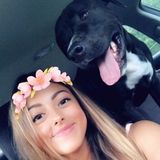 North Miami Pet Service Provider Searching for Being Hired