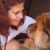 Professional Pet Care When You Can't Be There Boynton Beach, Florida