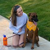 Hard Working Pet Sitting Available Now! Experience With all Different Kinds of Pets!