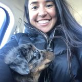 Im Melissa Rivera Chiropractic student I am Interested In Marietta Animal Caregiver Opportunity