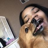 Flexible Pet Service Provider