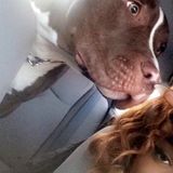 Reliable Pet Lover in Brampton
