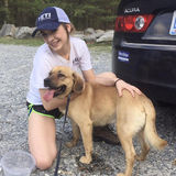 Utah House/Pet Sitting Service Provider