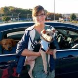 Your pets home away from home! Allow me to care for your pets while you enjoy what life has to offer.
