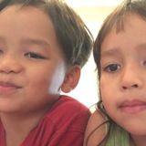 Friendly nanny for two children with some light housework