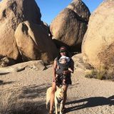 Service For Your Furry Loved Ones