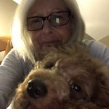 House/Pet sitter Interested In Work in Tucson