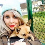 Dog walker/Dog Sitter/Cat Sitter/Home Sitter