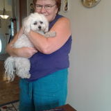 Dependable Pet Sitter,Flexible Hours