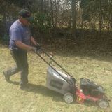 Landscaping Service at a Low Price!