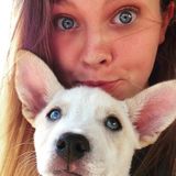 Clemson Dog Sitting Professional Searching for Being Hired