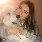Edmond Dog Sitter Interviewing For Job Opportunities