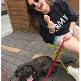 Volunteer at SPCA Montreal and owner of a 4 year-old dog, I know about cats and dogs behaviors.
French and English