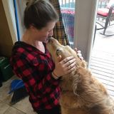 Pet Walking and Overnight Stays for your fur-babies