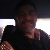 Handyman Painter Contractor