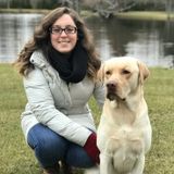Pet Sitter - Aurora (Cats, Dogs etc.)