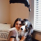 Pembroke Pines & Miramar Pet Sitter and Dog Walker