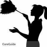 Not Your Mama's Maid Service