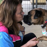 We're the "Gotta Go" Pros! Don't Make Your Pets Wait! :)