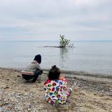 Experienced, Loving, Reliable Nanny Needed