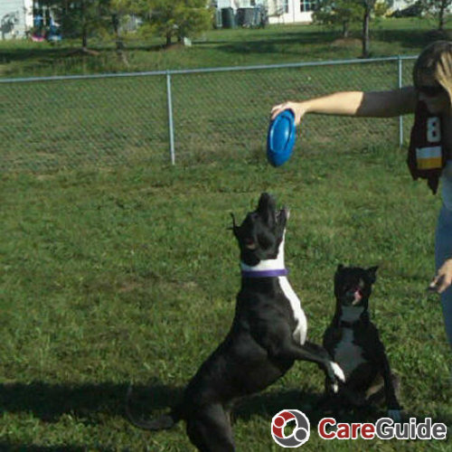 Pet Care Provider Amanda Scordellis's Profile Picture