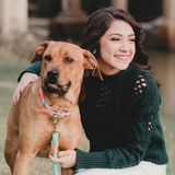 Weekend Dog Walker Available Immediately